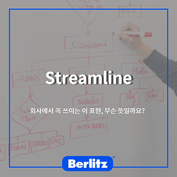 [벌리츠코리아 비즈니스 영어] Streamline 무슨 뜻일까?